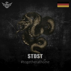 Every Day A New Set - STDST (Day 7) by Black Snake Recordings