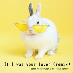 If I was your lover (Remix)