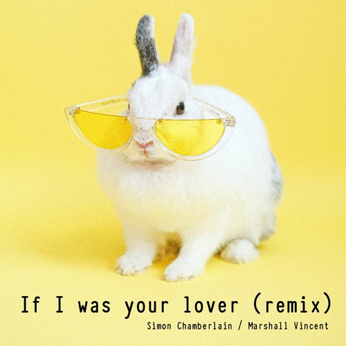 If I was your lover (Remix)