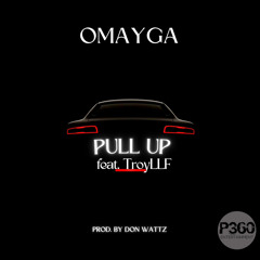 Pull Up feat. Troy LLF