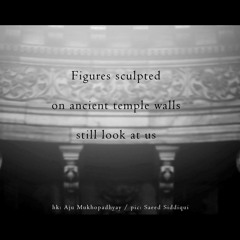 Somnolente [naviarhaiku321]