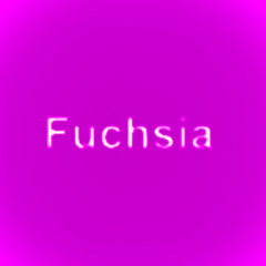 Fuchsia
