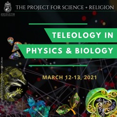 Teleology, Providence, and Predestination | Andrew Pinsent