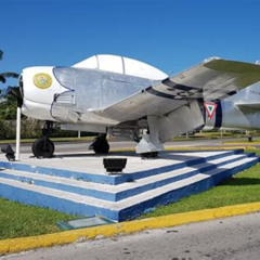 Best Cozumel Private Transfer Airport Or Ferry Terminal To Hotel Tours Review