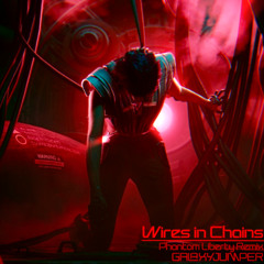 Wires in Chains (Phantom Liberty Remix)