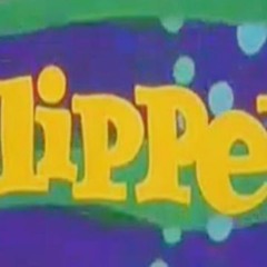 Flipper