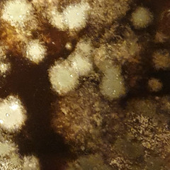 Small Universes