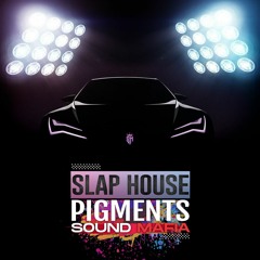 Sound Mafia - Slap House Pigments