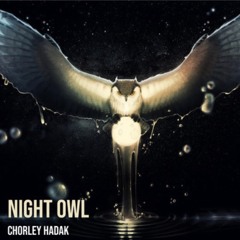 Night Owl