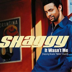 It wasn't Me - Voodoo Bandit remix
