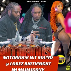 NOTORIOUS INT SOUND IN MAHAICONY @ LOREZ BIRTHNIGHT PARTY, DEC 2024 ... DJMAGNUM🇬🇾 & SEENUP🌎.mp3