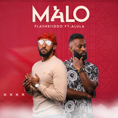 Flashkiiddo ft. Alula - Malo