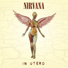 Heart Shaped Box - Nirvana (Cover)
