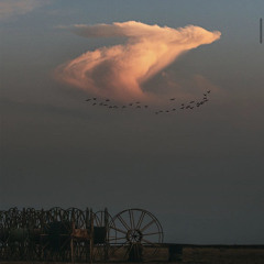 لو تعرفوا بنحبكم ونعزكم كذا قد إييه ☁️