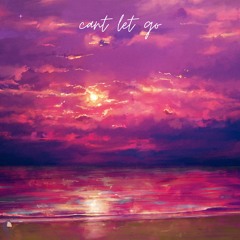 Cant Let Go