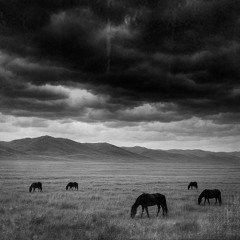 Electro I - Ulan-Ude