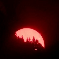 VibeCheck (feat. RHN)