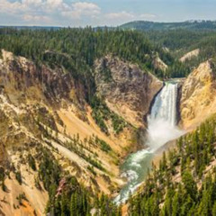 Review Special Price Yellowstone National Park - Full-Day Lower Loop Tour From Jackson