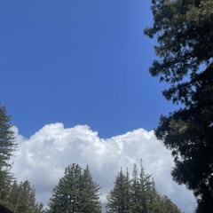 banger 14 bpm 133 .mp3 unmixed