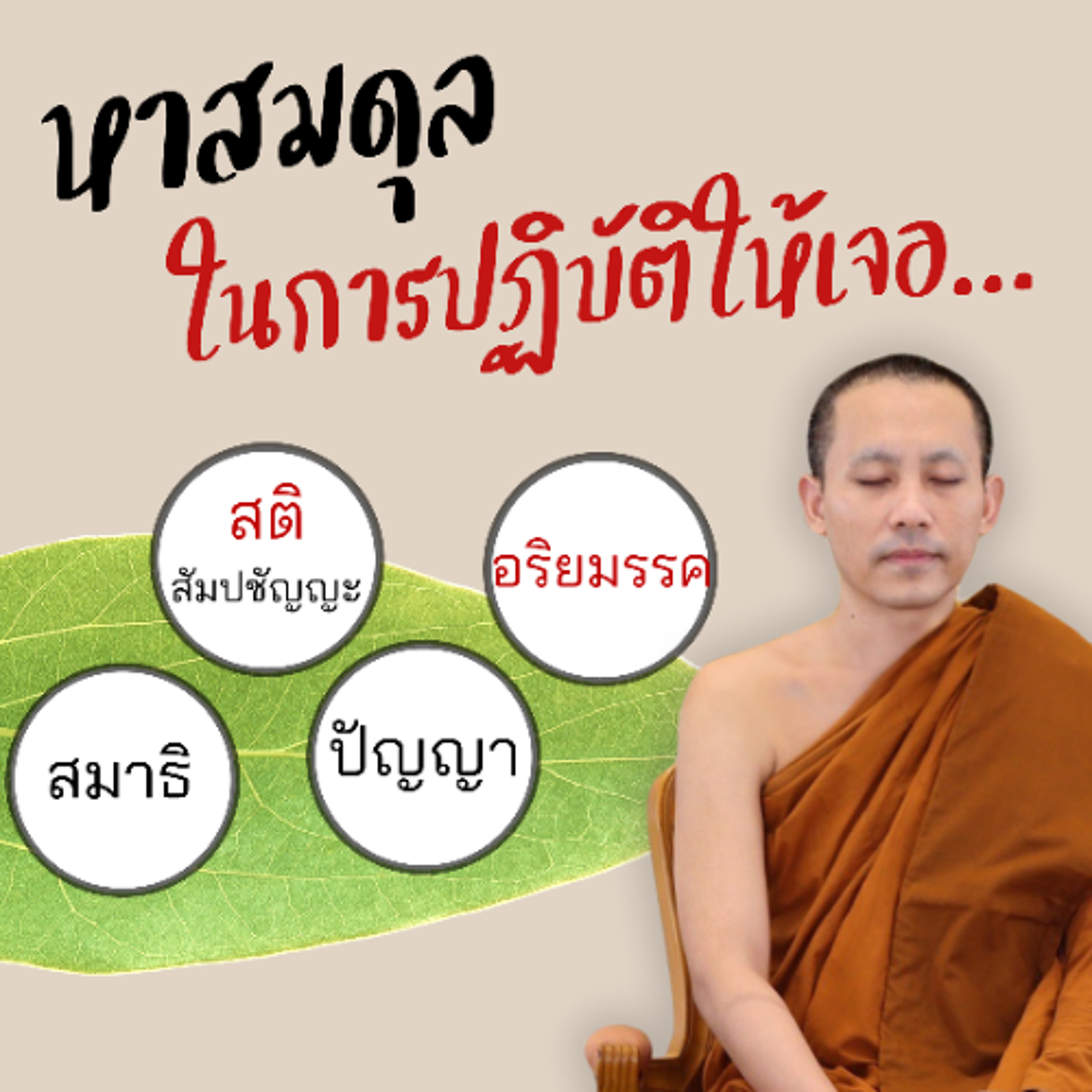 หาสมดุลในการปฏิบัติให้เจอ (สติ สมาธิ ปัญญา อริยมรรค) | พระวรินทร นิททโร