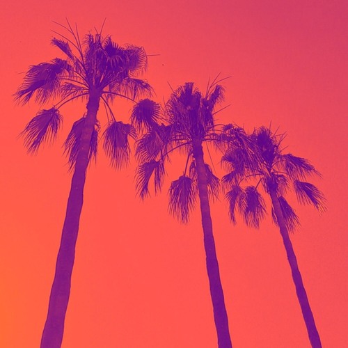 Purple Sun