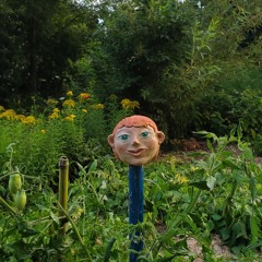 I was once a lovely child