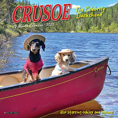 Access EBOOK 📨 Crusoe the Celebrity Dachshund 2023 Mini Wall Calendar by  Ryan Beauc