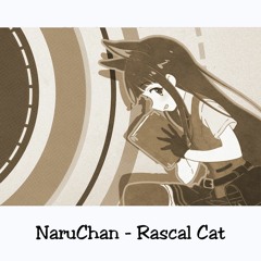 Rascal Cat