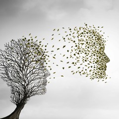 Journey to the Afterlife