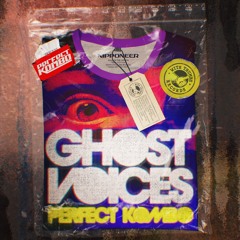 Perfect Kombo - Ghost Voices (Original Mix) ⚡︎ Beatport Out Now!! ⚡︎