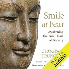 Free read✔ Smile at Fear: Awakening the True Heart of Bravery