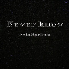 Never_knew.m4a