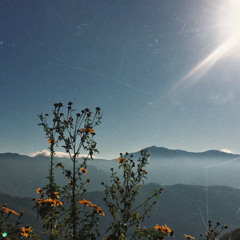 I’m Like A Bird (Ukulele Cover) - Nelly Furtado
