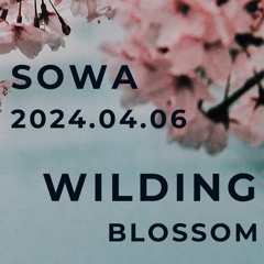 Wilding: Blossom 2024.06.04