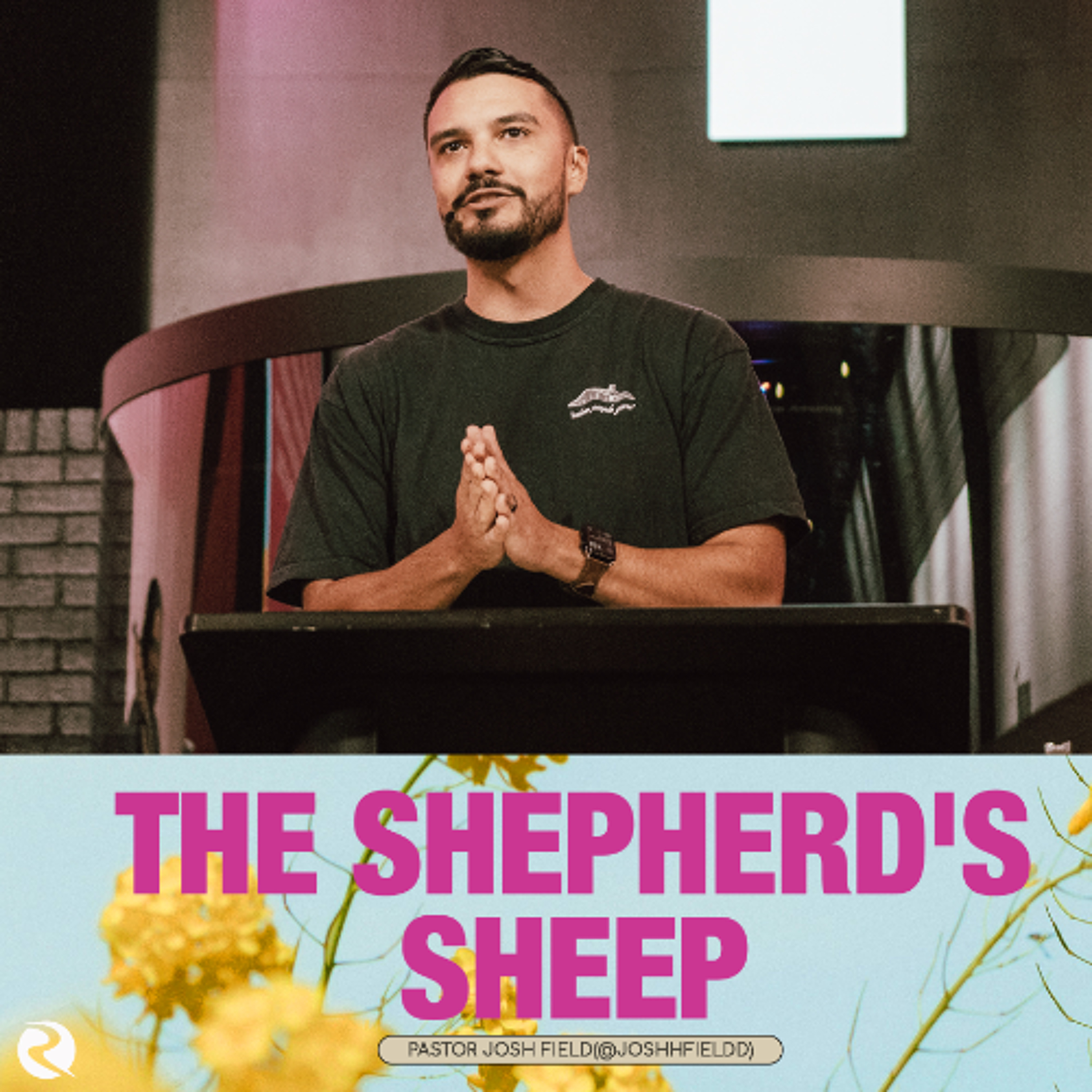 The Shepherd's Sheep | Simply Jesus | Pastor Caleb Slavik episode artwork