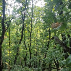 Hrvatski Bog Mars '97-Vatr.Lisin. - Porin