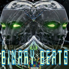 Binary Beats ( Babozi Techno mix )