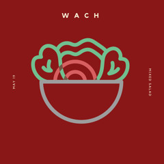 Mixed Salad • ⌈May 19⌋