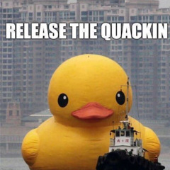 Quack Attack–Rise of the Ducks