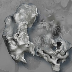 Cyphophthalmi