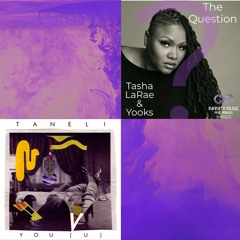 The Question Groove (Yooks & Taneli Mashup feat. Tasha LaRae)
