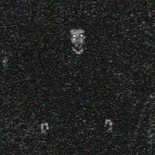 The Corpse In The Forest