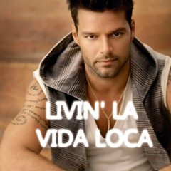 LIVIN' LA VIDA LOCA (GUI CEDRO - MASHUP)