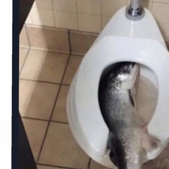 he said he was gunna do it