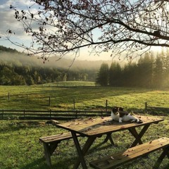 𝐄𝐧𝐭𝐞𝐥𝐲 - Ти  (2022)