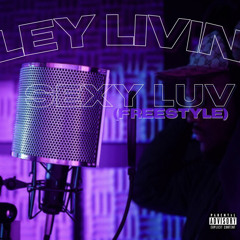 Sexy Luv (Freestyle)