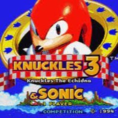 knuckles enters a competition