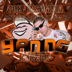 INSOMNIA (SCHAAR SHRANZ EDIT X FOX INSOMNIA)
