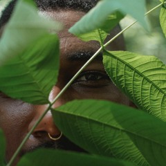 Zorz Post - The Jungle Brotha (Original Mix) [FREE DOWNLOAD]