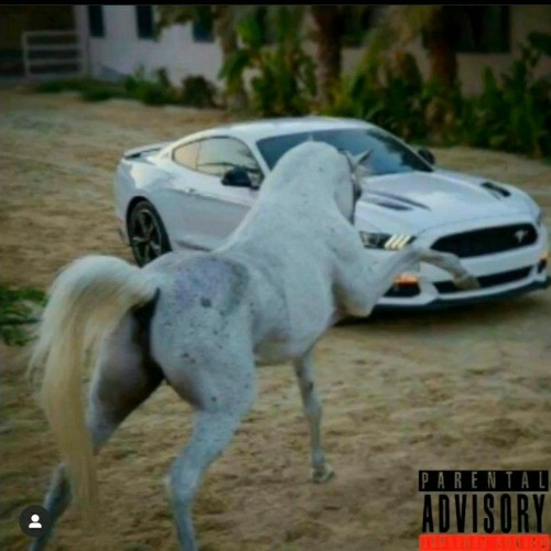Horse Remix ft 016 Mac, Wicked God Of No Mercy, Fenton Draco and Polly Crest
